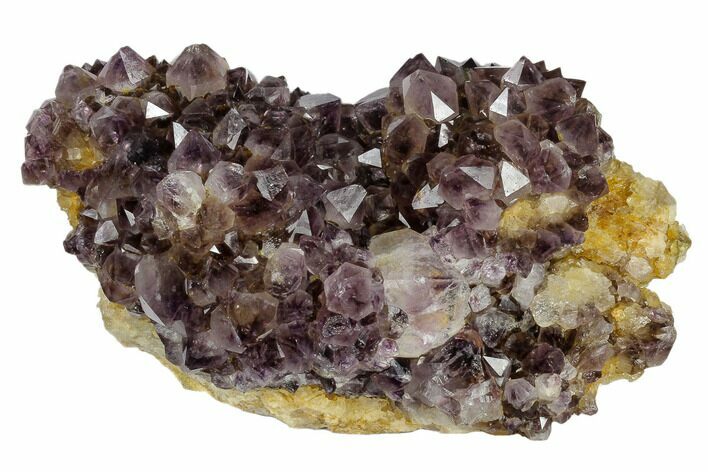 Wide, Amethyst Crystal Cluster - South Africa #115393